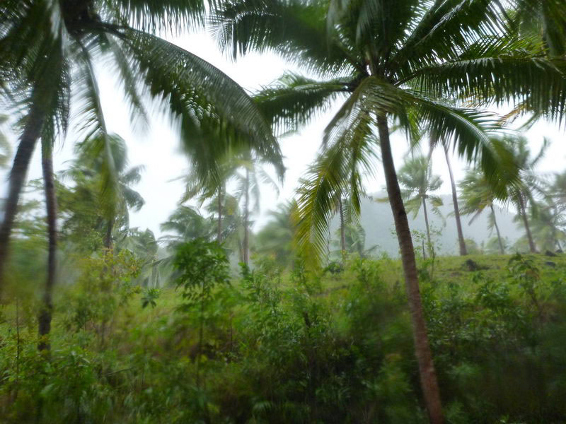 Тропическая депрессия - тайфун на Филиппинах