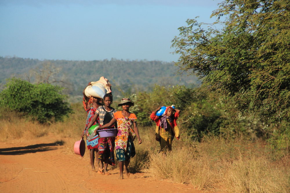 Мадагаскарсик ежители идут в деревню