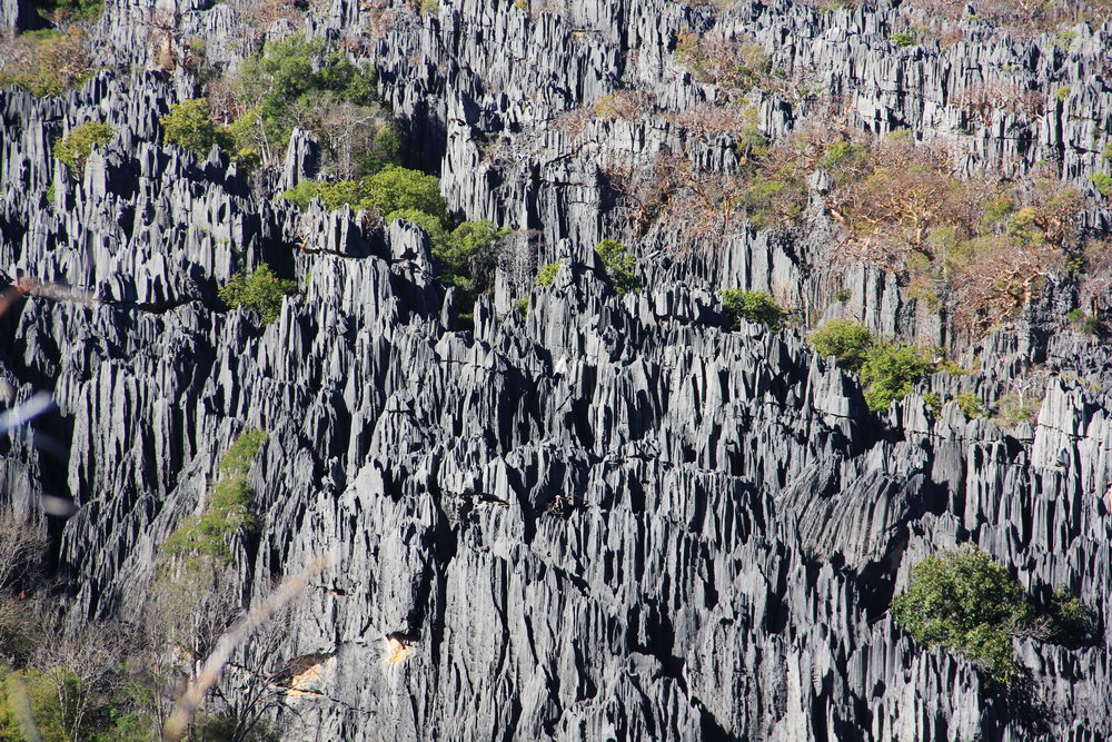 Цинги, национальный парк Цинги де Бемараха, каменный лес, Мадагаскар