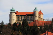 Замок Кмитов и Любомирских в Новым Вишниче