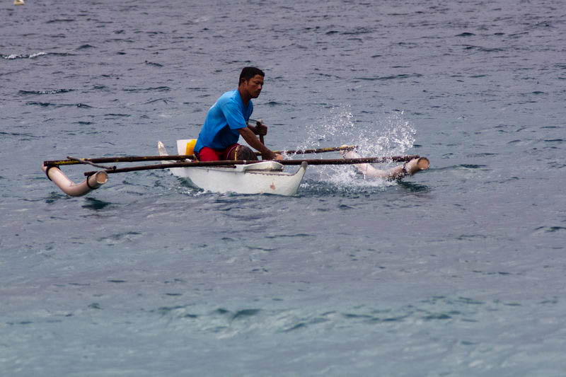 кормление китовых акулы на Филиппинах