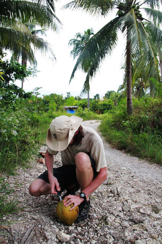 кокосы на Филиппинах остров Себу