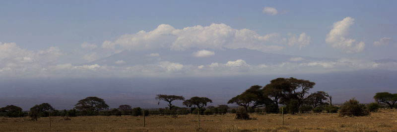Килиманджаро прикрытый облаками