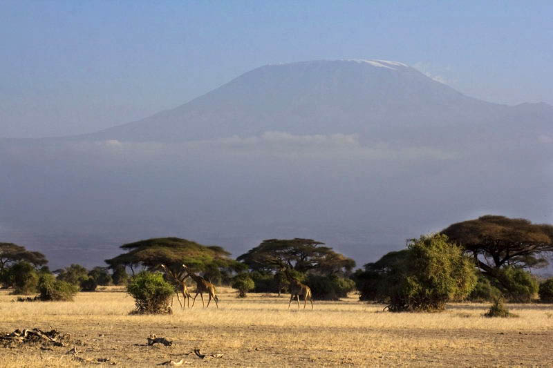 Вулкан Килиманджаро, Кения