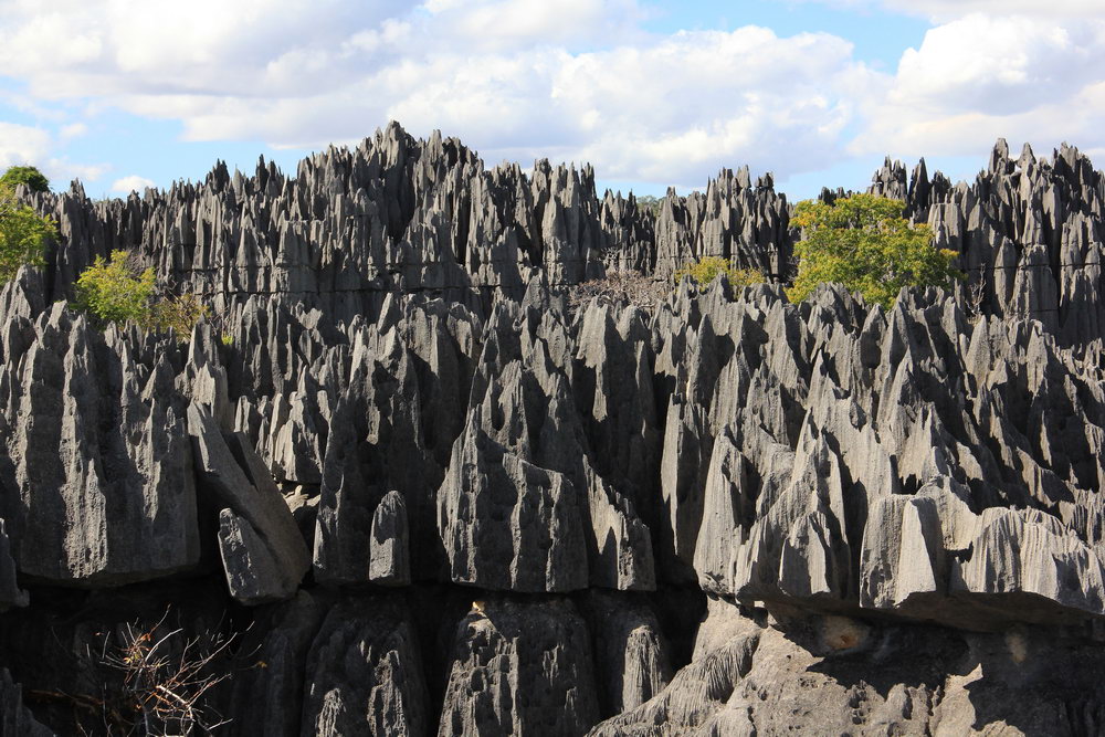 Каменный лес Мадагаскара - Цинги. Планирование самостоятельного путешествия на Мадагаскар