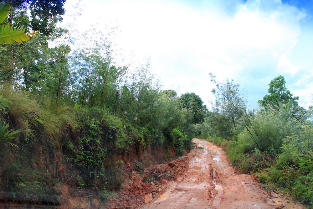 дорога в Манамбату, Мадагаскар