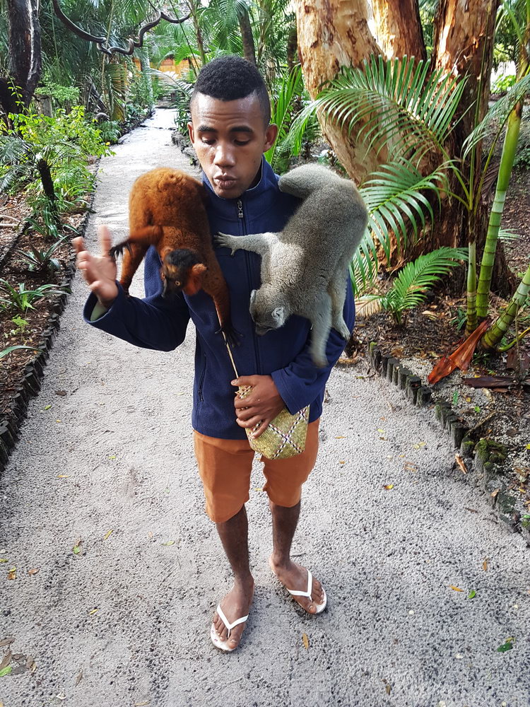 гид с лемурами на плечах, отель Пальмариум, Мадагаскар