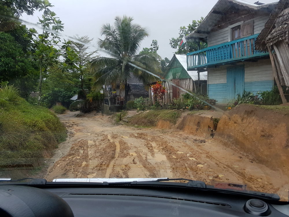 дорога в Манамбату, Мадагаскар