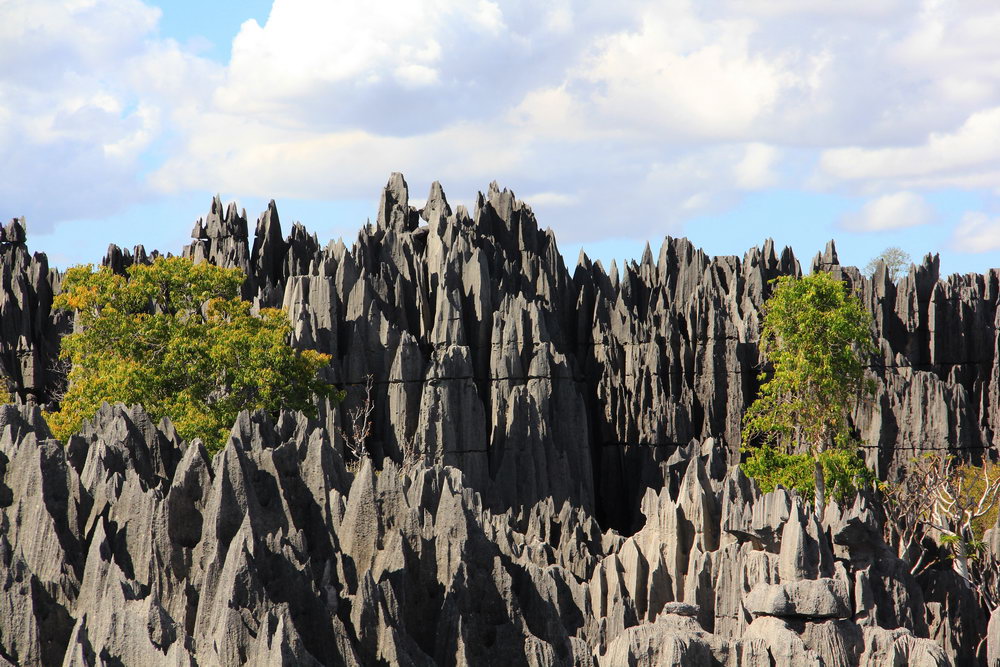 Нациоанальный парк Цинги де Бемараха на западе Мадагаскара, каменный лес