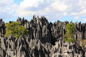 Национальный парк Цинги ди Бемараха - каменный лес Мадагаскара