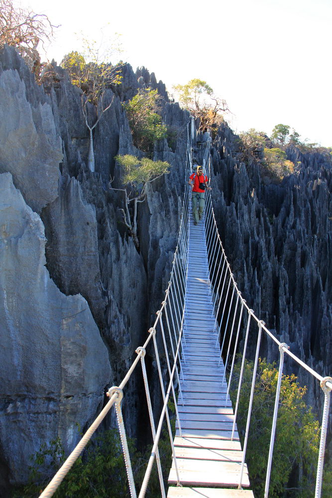 мост между скальными цингами, национальный парк Цинги де Бемараха, каменный лес, Мадагаскар