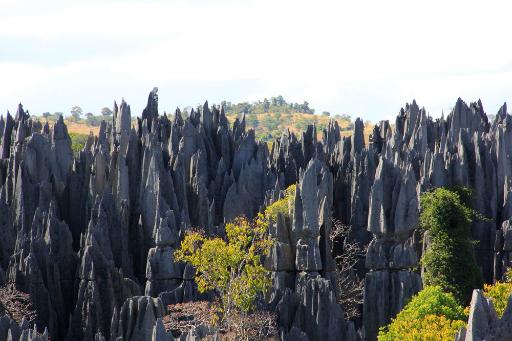 Пики цинг острые как лезвие, надо быть очень осторожным, национальный парк Цинги де Бемараха, каменный лес, Мадагаскар