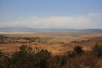 Сафари в кратере НгороНгоро, Танзания