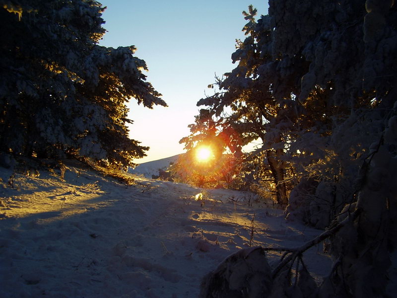 Зимнее утро в Крыму