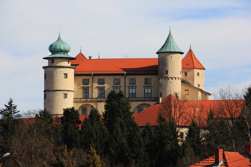 замок Кмитов  и Любомирских в Новом Вишниче