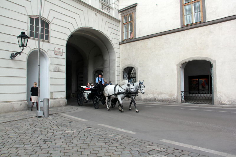 Конные упряжи на дорогах Вены