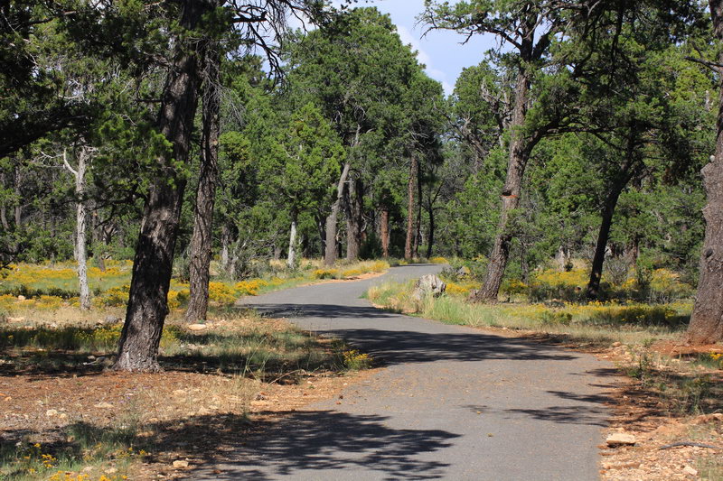 пешеходные и вело дорожки на территории национального парка Гранд Каньон